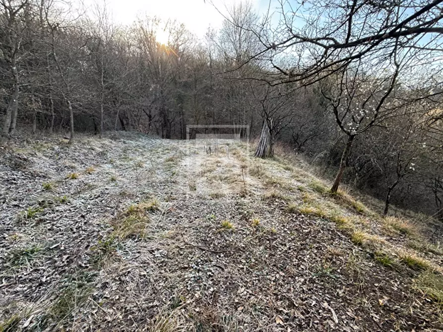 Immagine 27 di Terreno agricolo in vendita  in Via XXV Aprile a Barghe