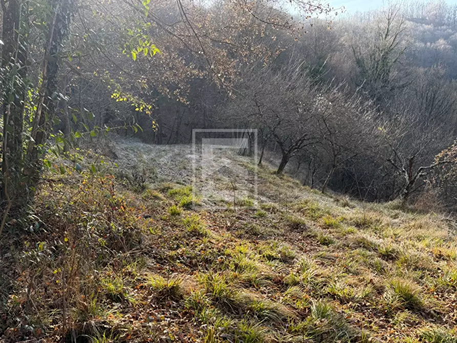 Immagine 22 di Terreno agricolo in vendita  in Via XXV Aprile a Barghe