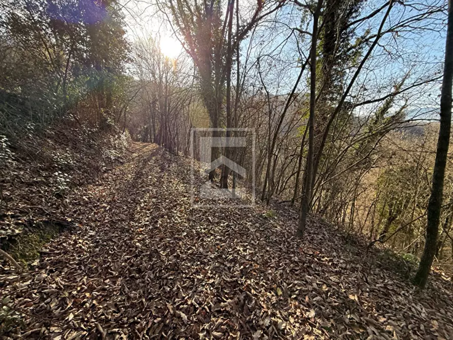Immagine 30 di Terreno agricolo in vendita  in Via XXV Aprile a Barghe