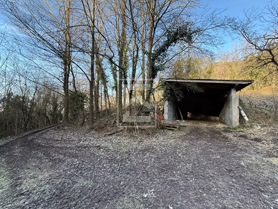 Immagine 10 di Terreno agricolo in vendita  in Via XXV Aprile a Barghe