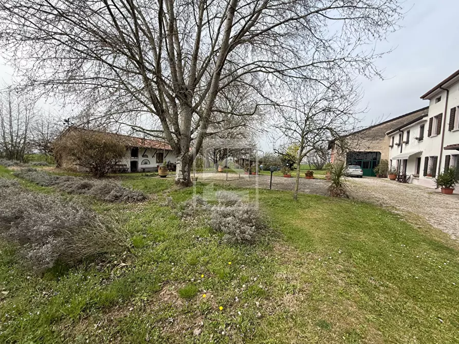 Immagine 57 di Rustico / casale in vendita  in strada gabbiana 6 a Castellucchio