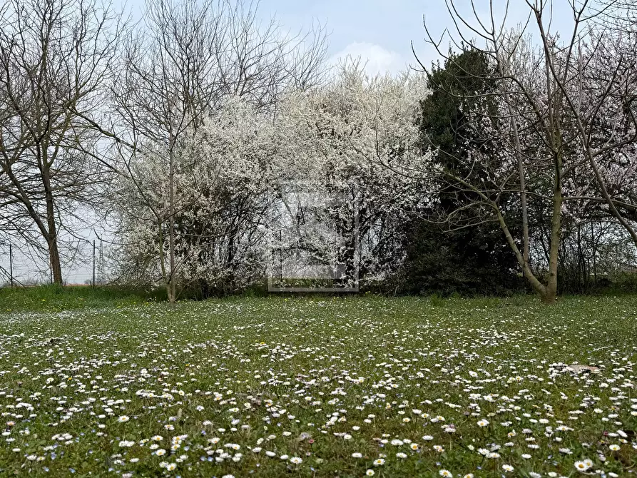 Immagine 59 di Rustico / casale in vendita  in strada gabbiana 6 a Castellucchio
