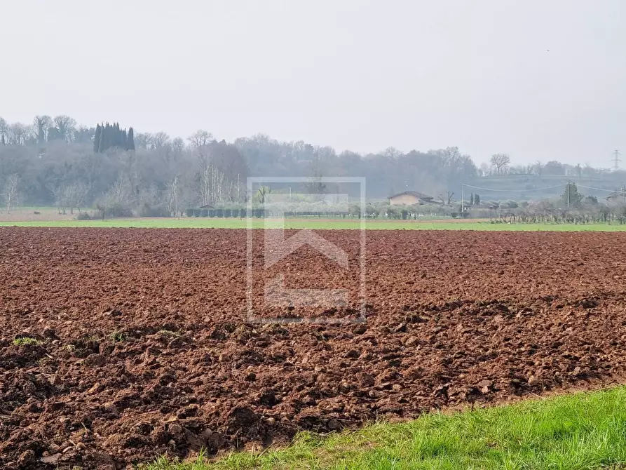 Immagine 33 di Casa indipendente in vendita  in Strada dei Colli Nord a Volta Mantovana