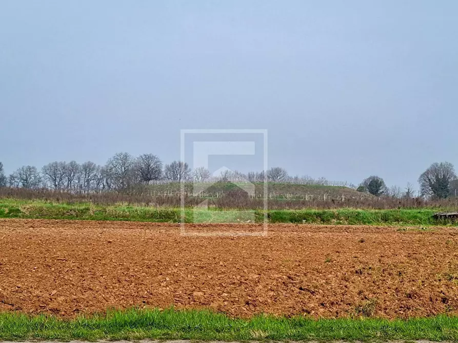 Immagine 34 di Casa indipendente in vendita  in Strada dei Colli Nord a Volta Mantovana