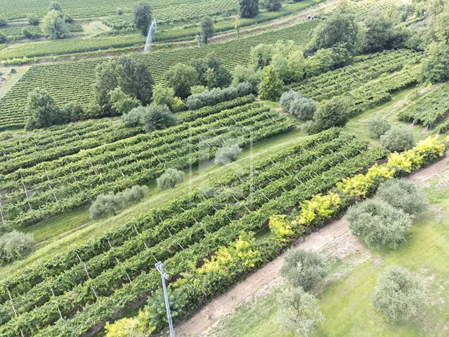 Immagine 27 di Villa in vendita  in via Tione 22 a Castelnuovo Del Garda
