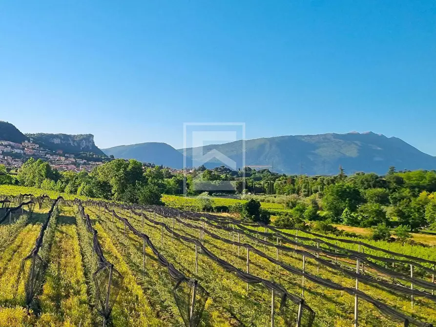 Immagine 8 di Rustico / casale in vendita  in Località Pozzoi a Cavaion Veronese