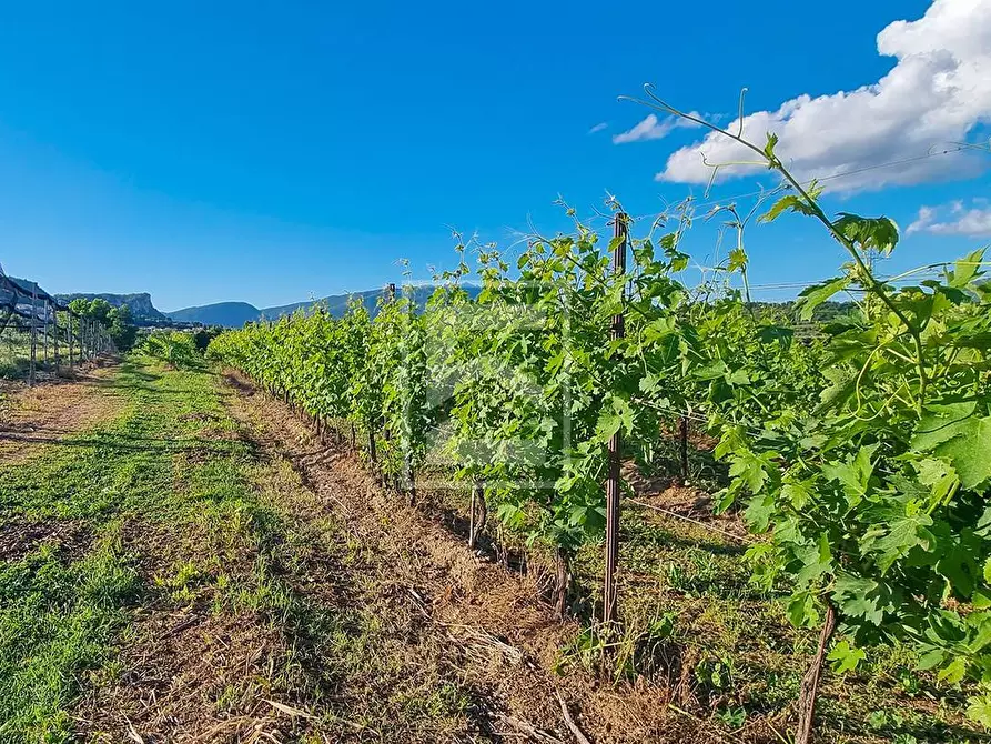 Immagine 14 di Rustico / casale in vendita  in Località Pozzoi a Cavaion Veronese