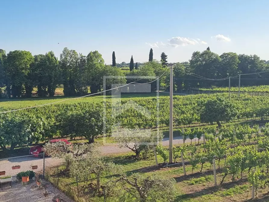 Immagine 6 di Terreno agricolo in vendita  in località pozzoi a Cavaion Veronese