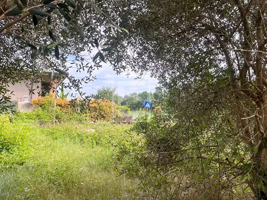 Immagine 17 di Terreno residenziale in vendita  in VIA SAN PIETRO 79 79 a Desenzano Del Garda