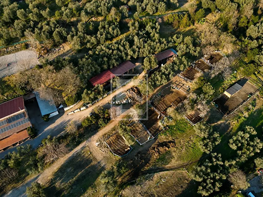 Immagine 5 di Agriturismo in vendita  in Via Castello 10 a Toscolano-Maderno