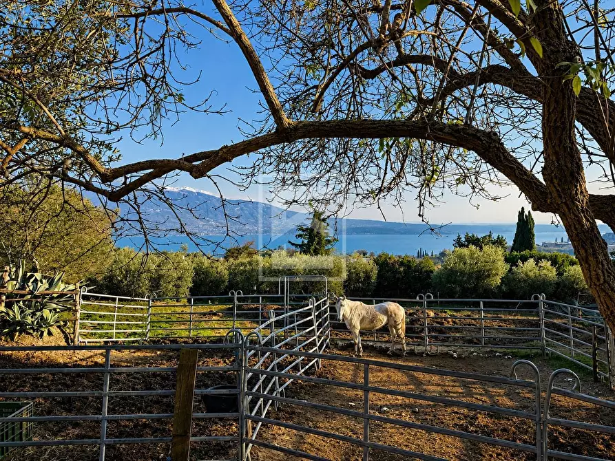 Immagine 13 di Agriturismo in vendita  in Via Castello 10 a Toscolano-Maderno