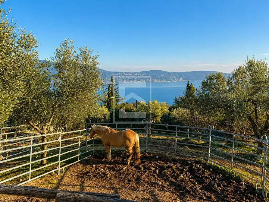 Immagine 11 di Agriturismo in vendita  in Via Castello 10 a Toscolano-Maderno