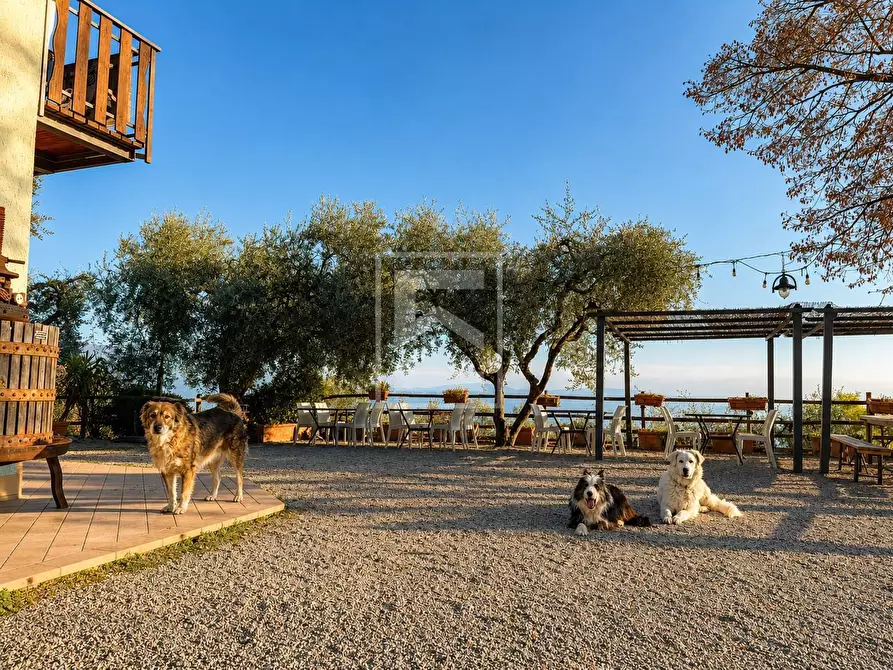 Immagine 7 di Agriturismo in vendita  in Via Castello 10 a Toscolano-Maderno