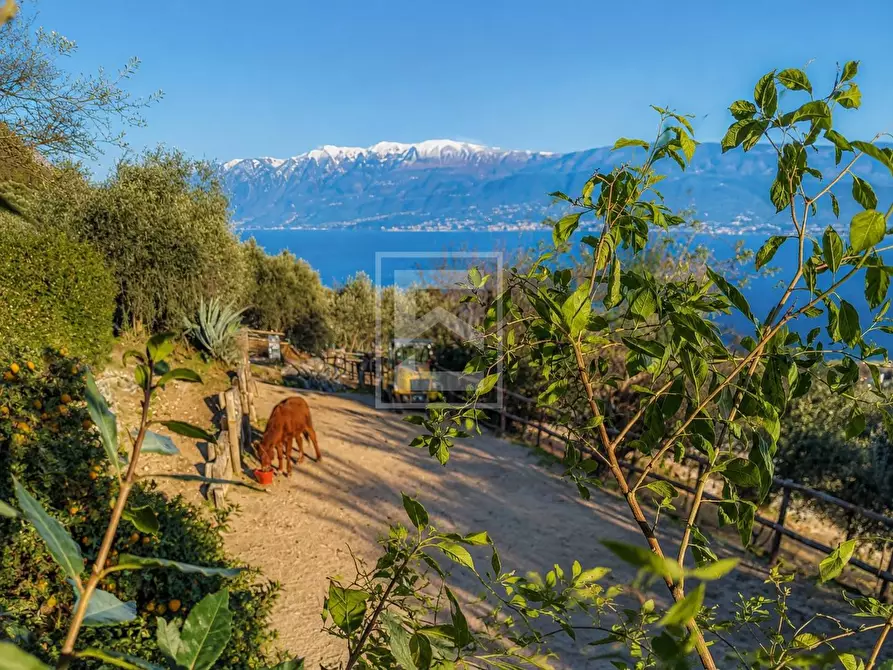 Immagine 29 di Agriturismo in vendita  in Via Castello 10 a Toscolano-Maderno