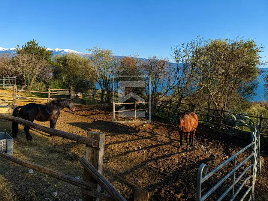 Immagine 12 di Agriturismo in vendita  in Via Castello 10 a Toscolano-Maderno