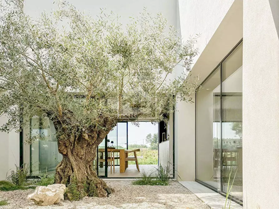Immagine 3 di Villa in vendita  in Viale Roma a Lonato del Garda