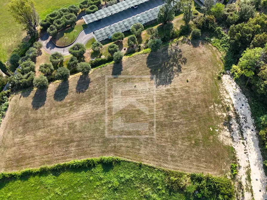 Immagine 4 di Terreno residenziale in vendita  a Padenghe Sul Garda
