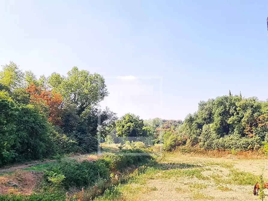 Immagine 20 di Rustico / casale in vendita  in strada cervo a Cavriana