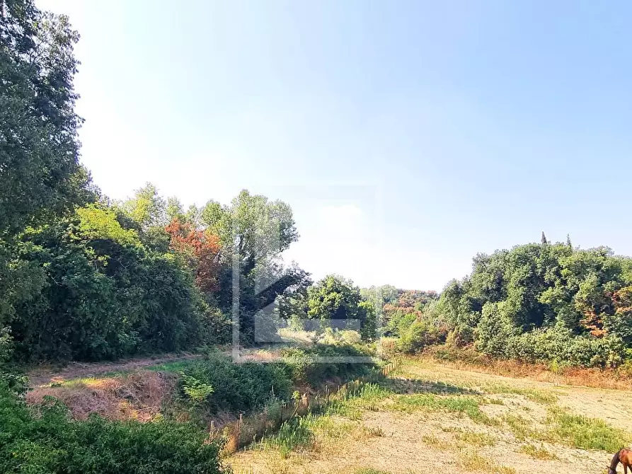 Immagine 7 di Rustico / casale in vendita  in strada cervo a Cavriana