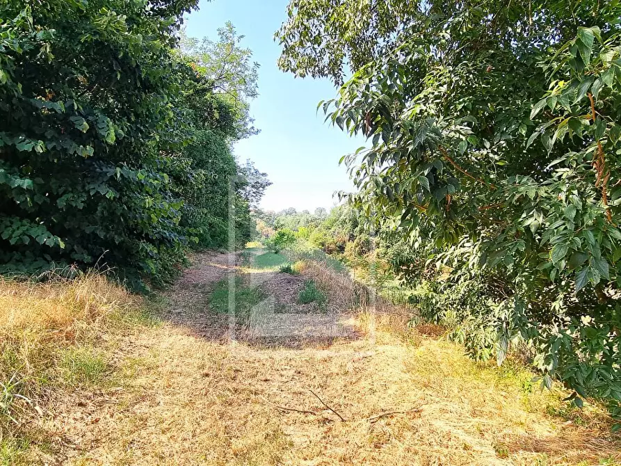 Immagine 18 di Rustico / casale in vendita  in strada cervo a Cavriana