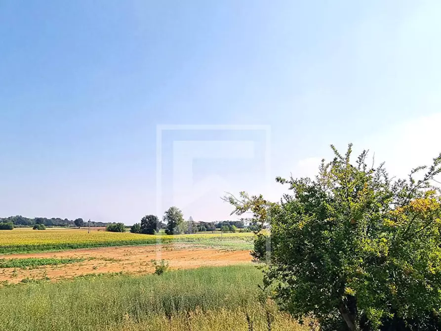 Immagine 13 di Rustico / casale in vendita  in strada cervo a Cavriana