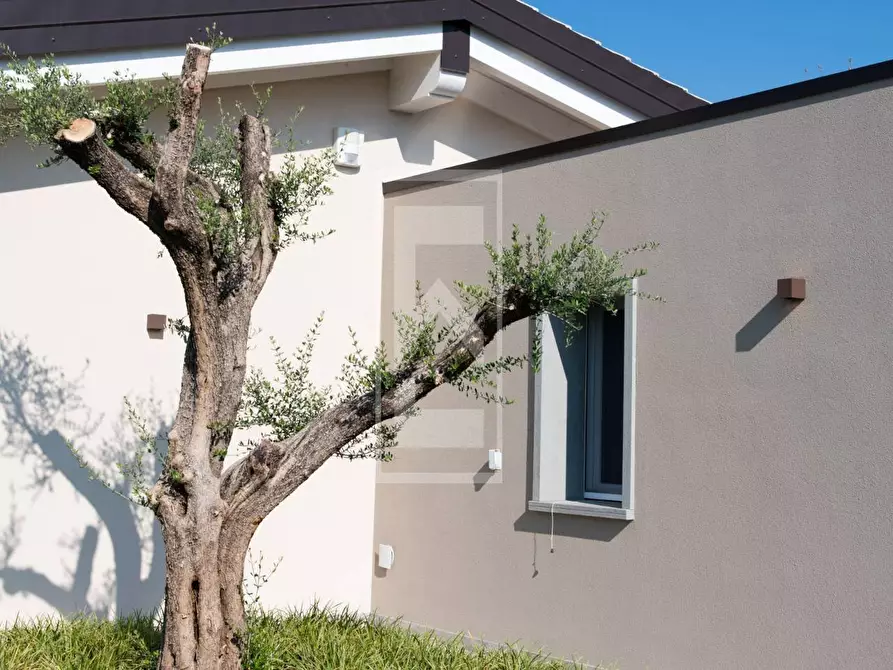 Immagine 8 di Villa in vendita  in Via marconi a Pozzolengo