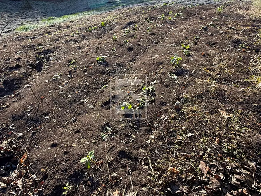 Immagine 7 di Terreno agricolo in vendita  in Via XXV Aprile a Barghe