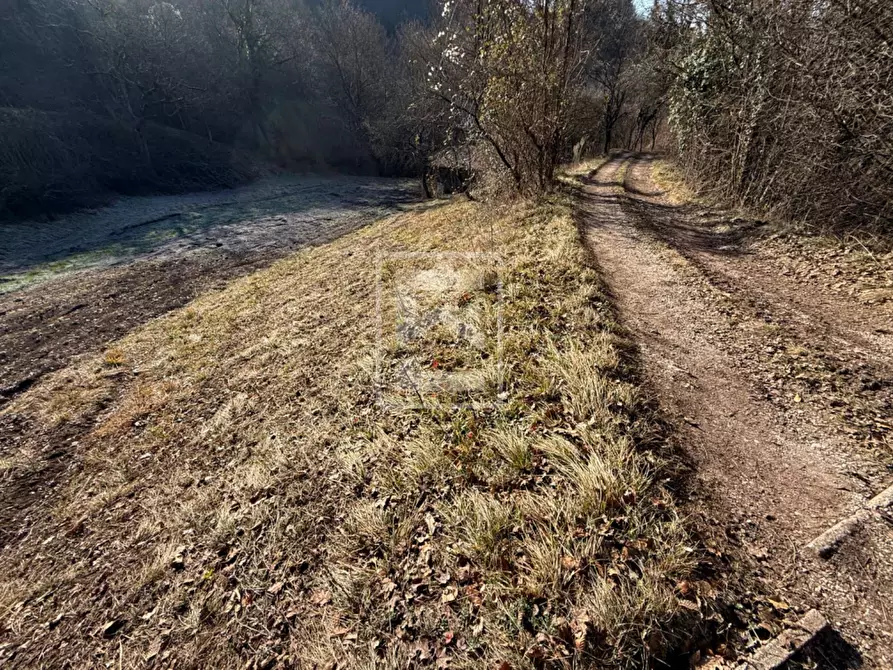 Immagine 8 di Terreno agricolo in vendita  in Via XXV Aprile a Barghe