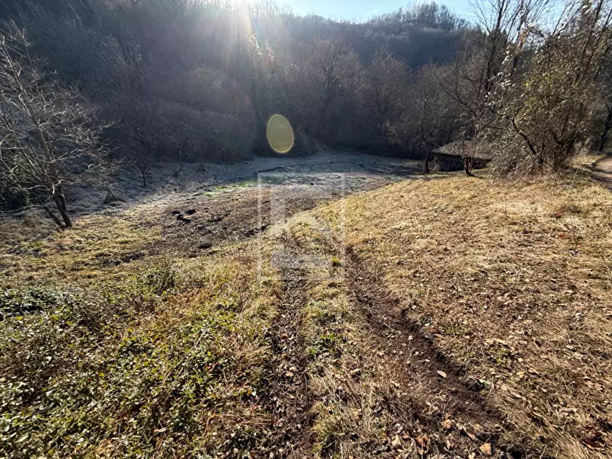Immagine 2 di Terreno agricolo in vendita  in Via XXV Aprile a Barghe