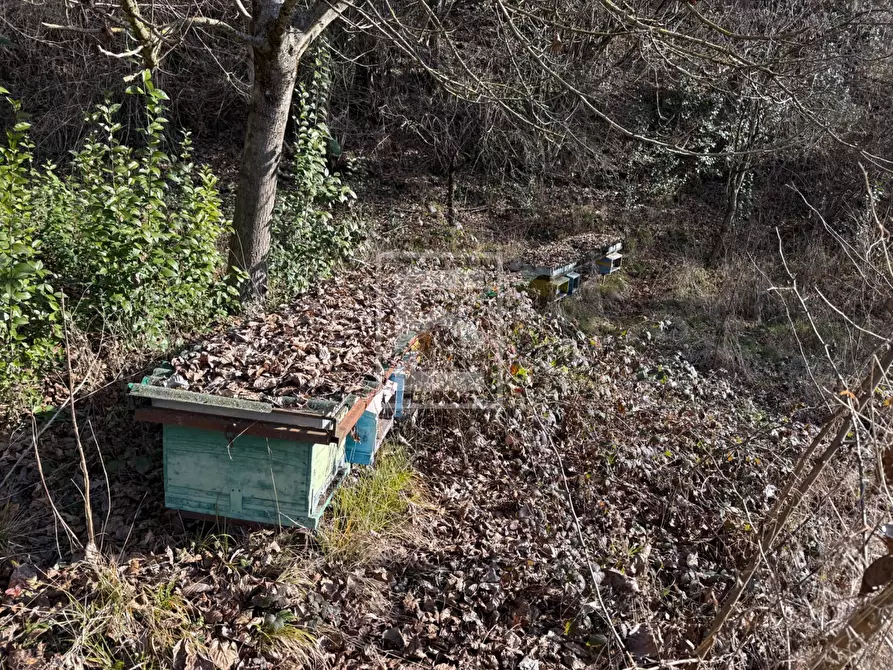 Immagine 19 di Terreno agricolo in vendita  in Via XXV Aprile a Barghe