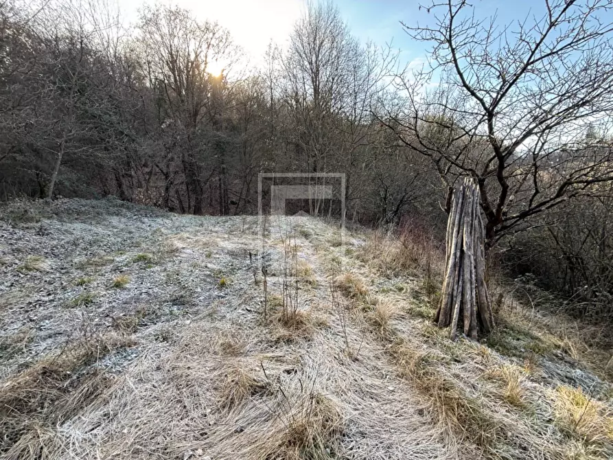 Immagine 24 di Terreno agricolo in vendita  in Via XXV Aprile a Barghe