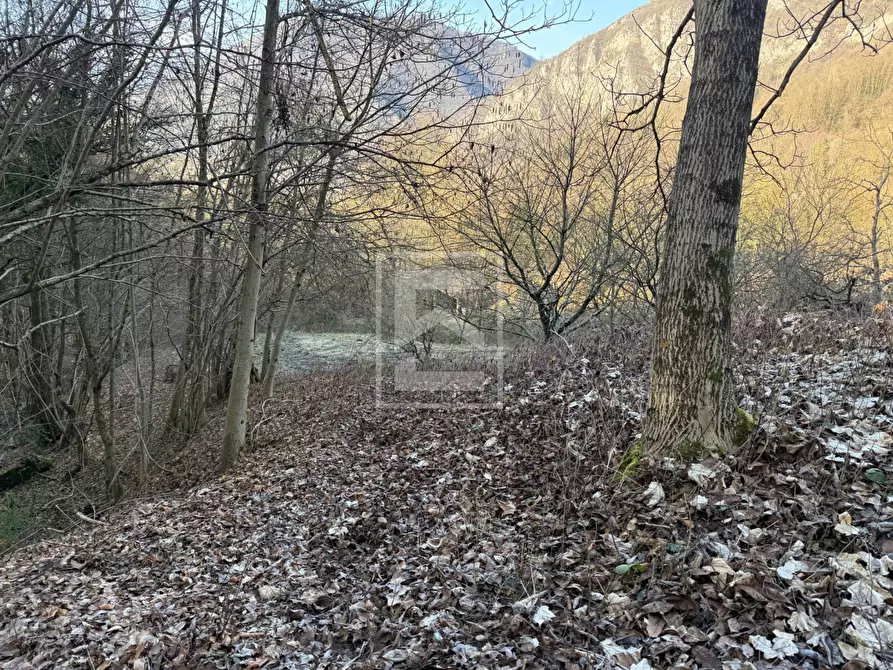 Immagine 25 di Terreno agricolo in vendita  in Via XXV Aprile a Barghe