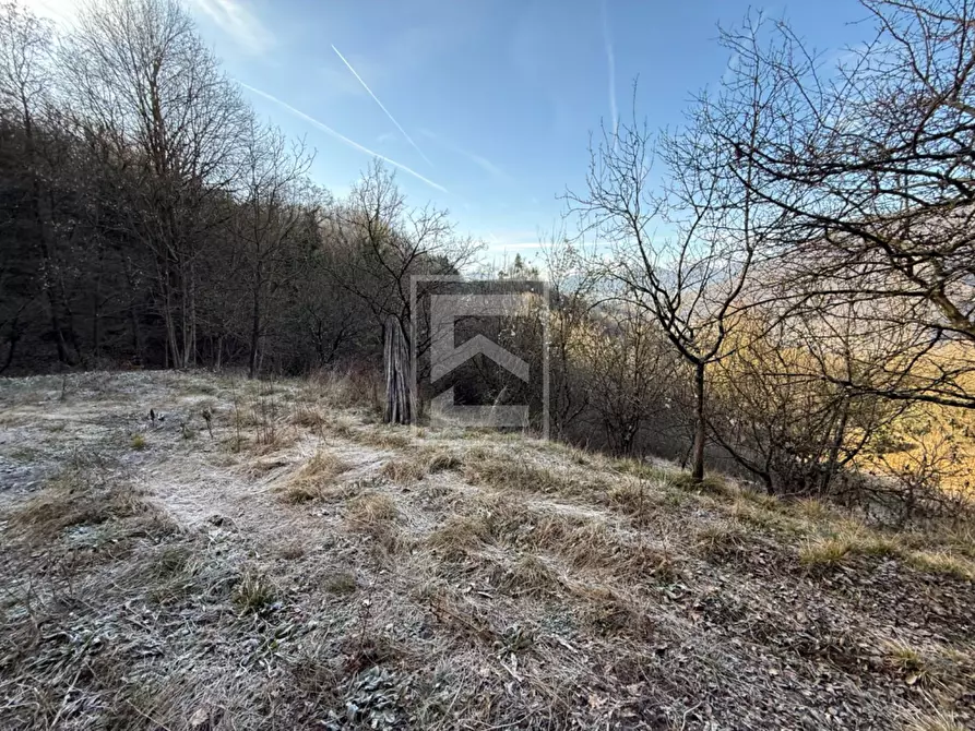 Immagine 26 di Terreno agricolo in vendita  in Via XXV Aprile a Barghe