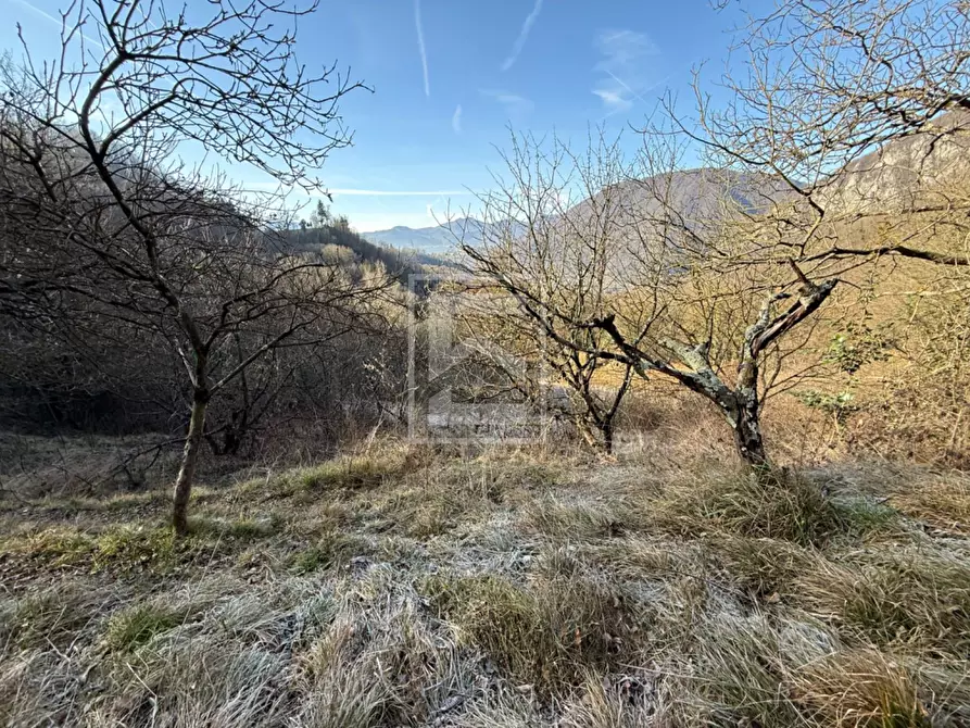 Immagine 28 di Terreno agricolo in vendita  in Via XXV Aprile a Barghe