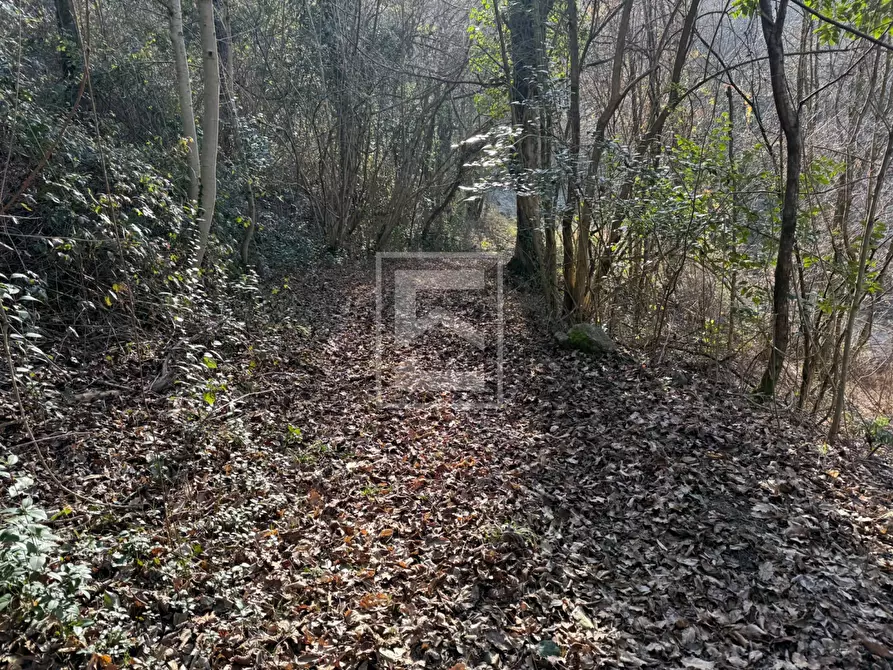 Immagine 29 di Terreno agricolo in vendita  in Via XXV Aprile a Barghe