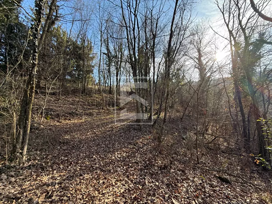 Immagine 31 di Terreno agricolo in vendita  in Via XXV Aprile a Barghe