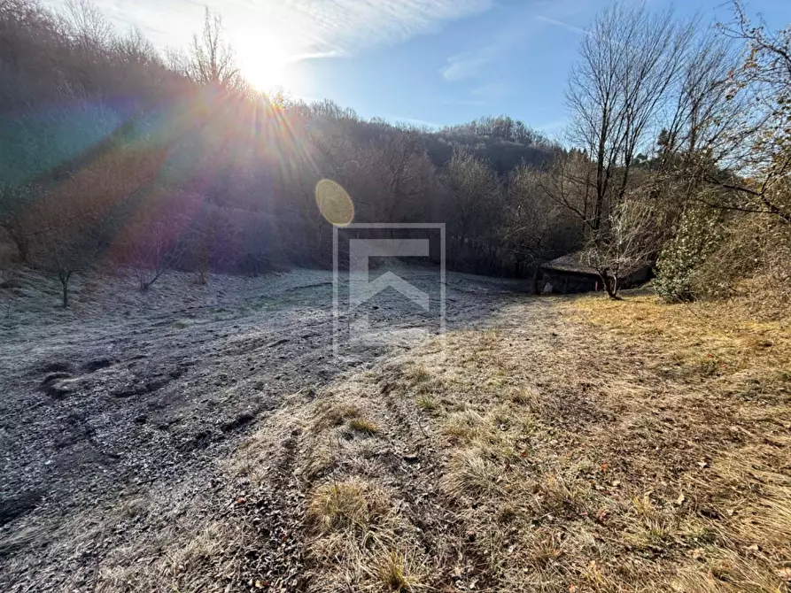 Immagine 3 di Terreno agricolo in vendita  in Via XXV Aprile a Barghe