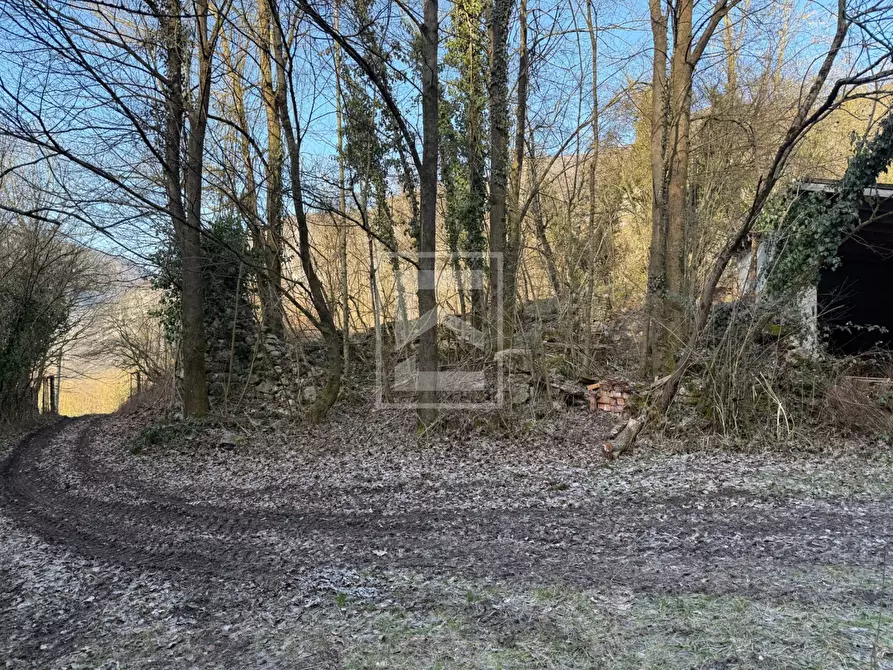 Immagine 11 di Terreno agricolo in vendita  in Via XXV Aprile a Barghe