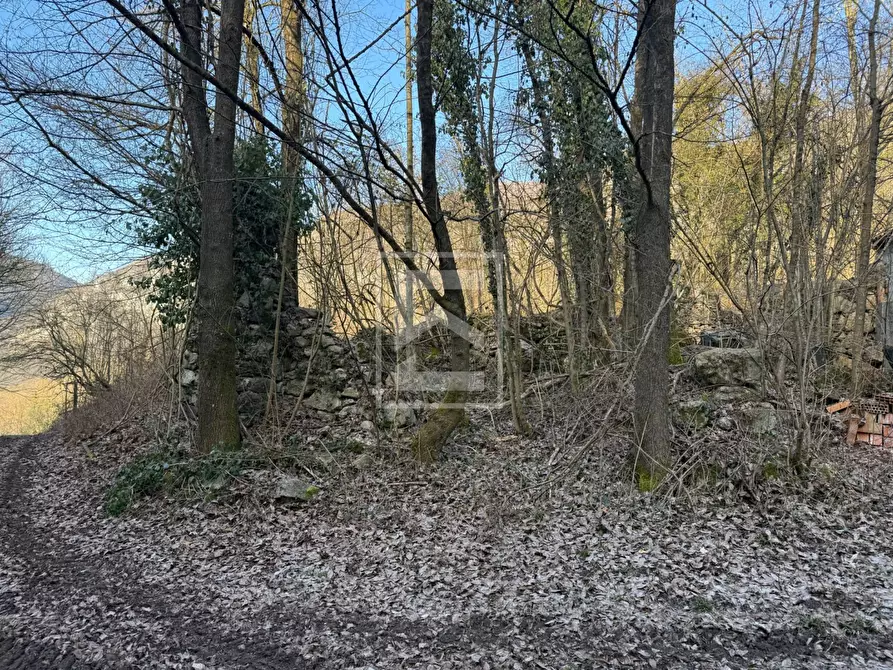 Immagine 15 di Terreno agricolo in vendita  in Via XXV Aprile a Barghe