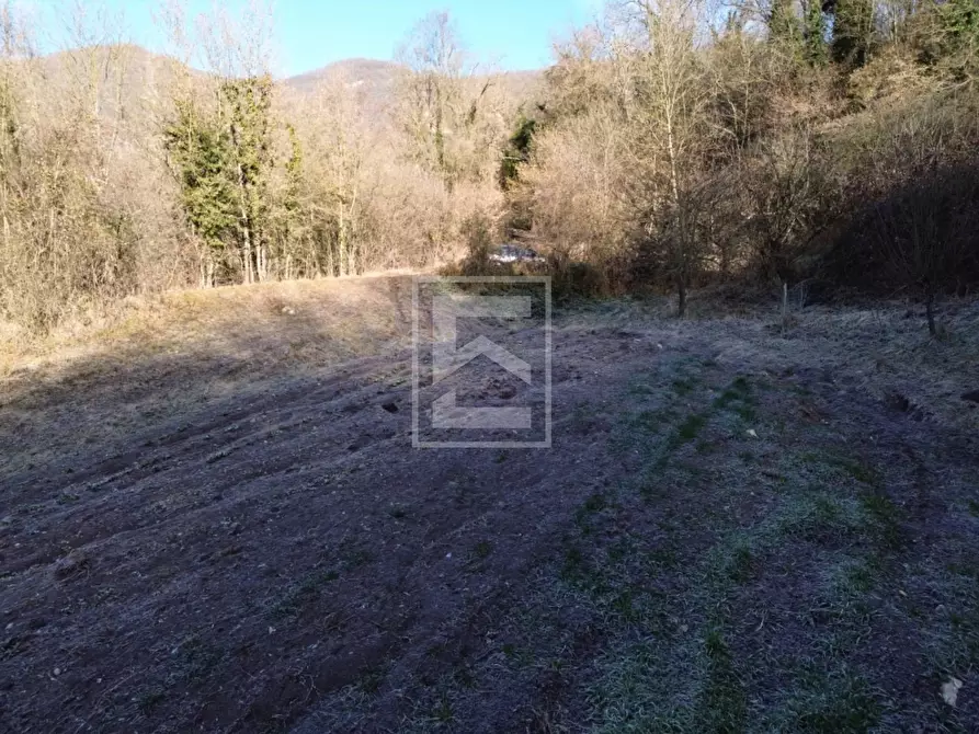 Immagine 16 di Terreno agricolo in vendita  in Via XXV Aprile a Barghe