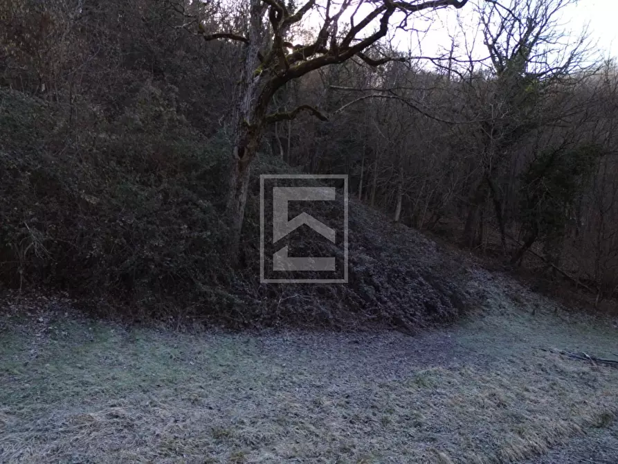 Immagine 32 di Terreno agricolo in vendita  in Via XXV Aprile a Barghe