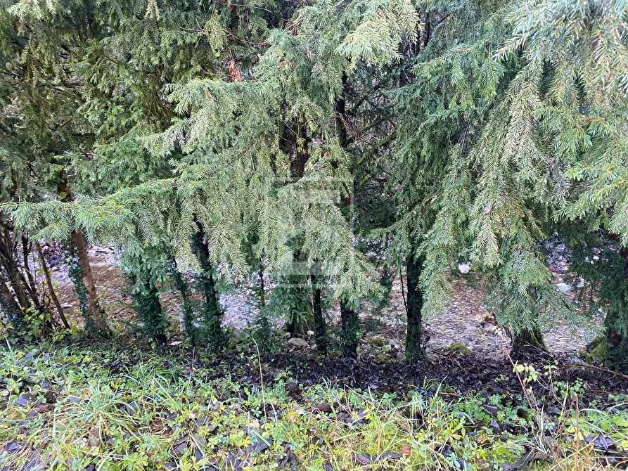 Immagine 33 di Casa indipendente in vendita  in VIA NUOVA 2 a Vobarno