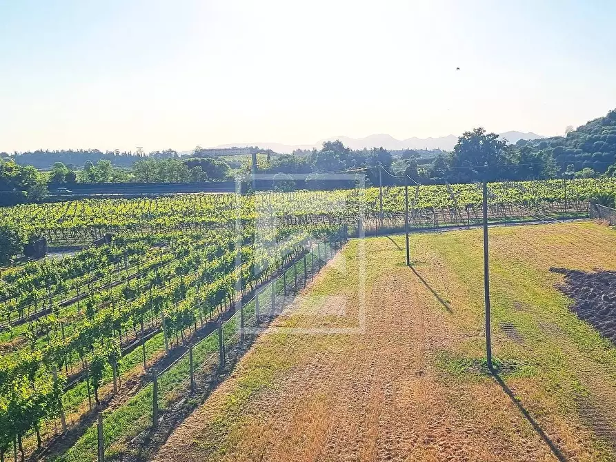 Immagine 10 di Rustico / casale in vendita  in Località Pozzoi a Cavaion Veronese