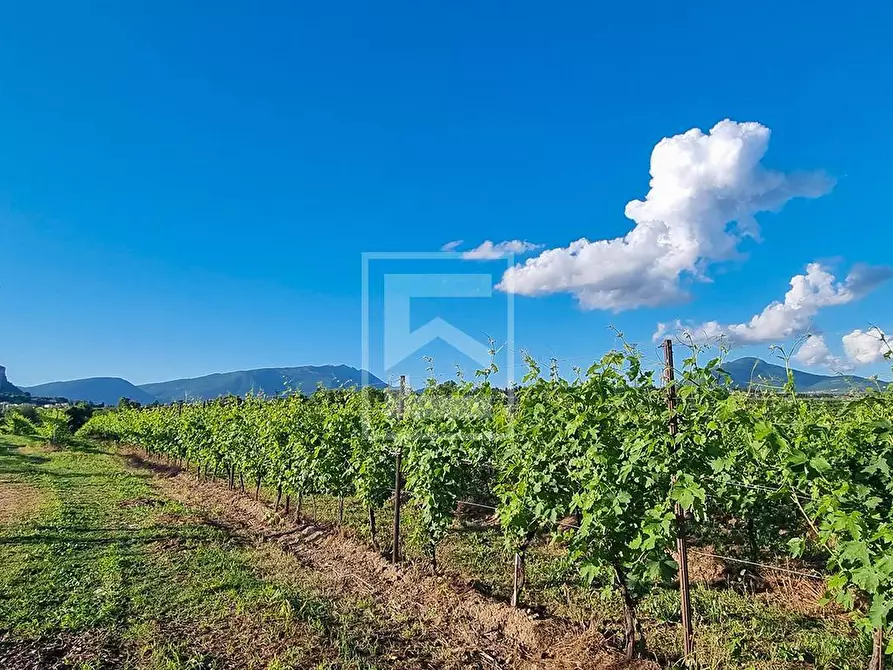 Immagine 2 di Rustico / casale in vendita  in Località Pozzoi a Cavaion Veronese