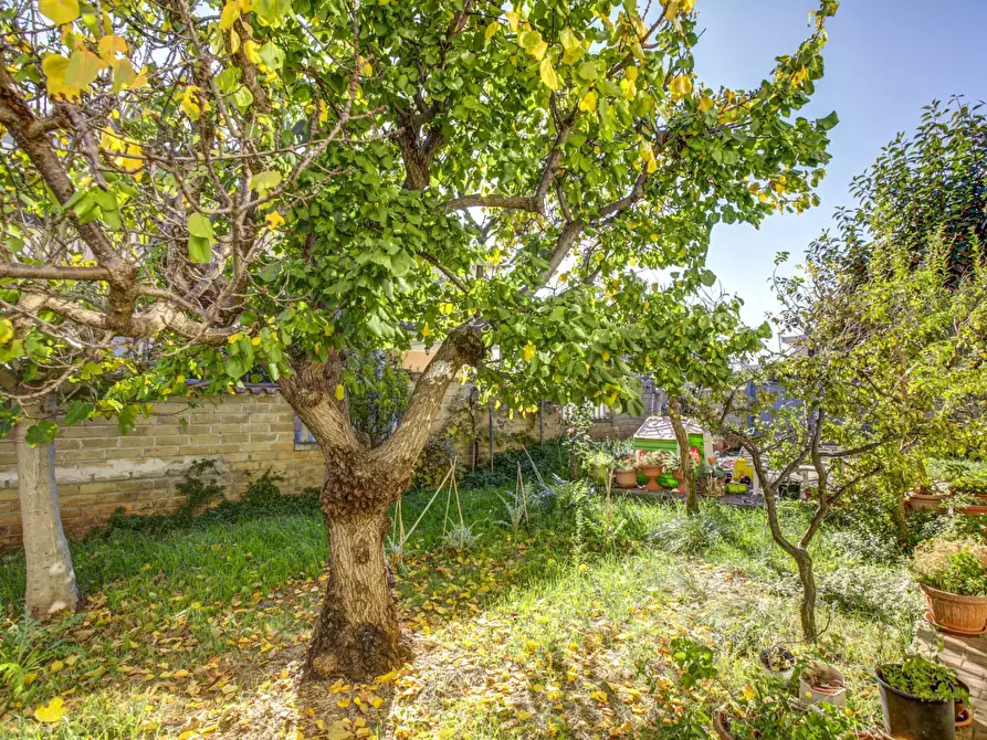 Immagine 19 di Appartamento in vendita  in Via Budapest 7 a Ladispoli