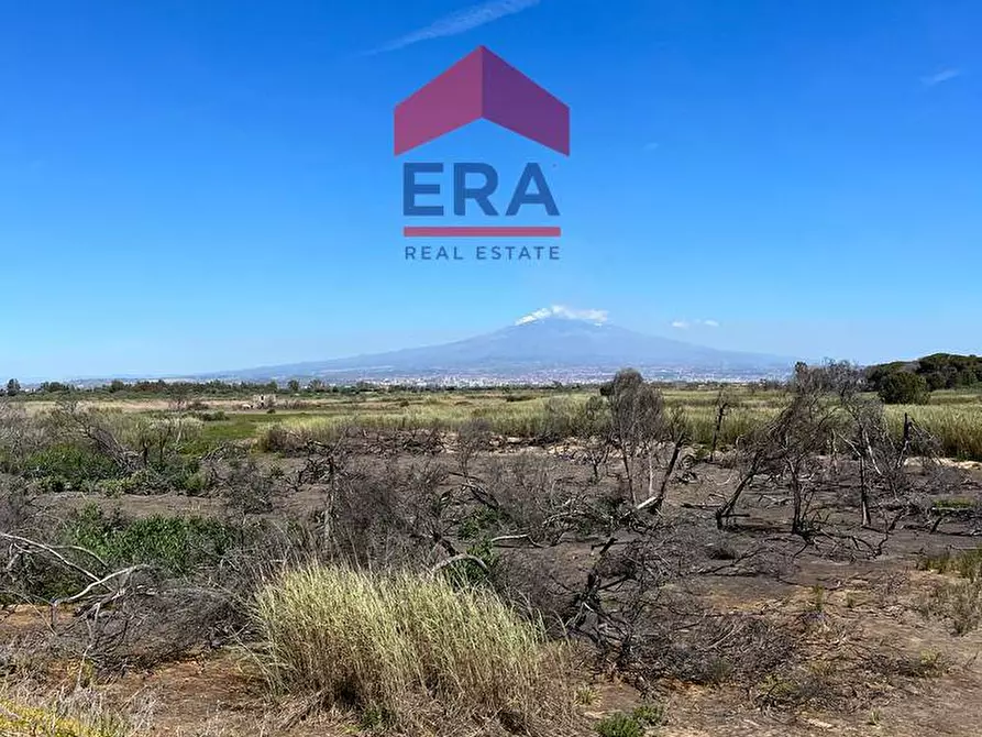 Immagine 1 di Villa in vendita  in Via Cavallo Marino a Catania