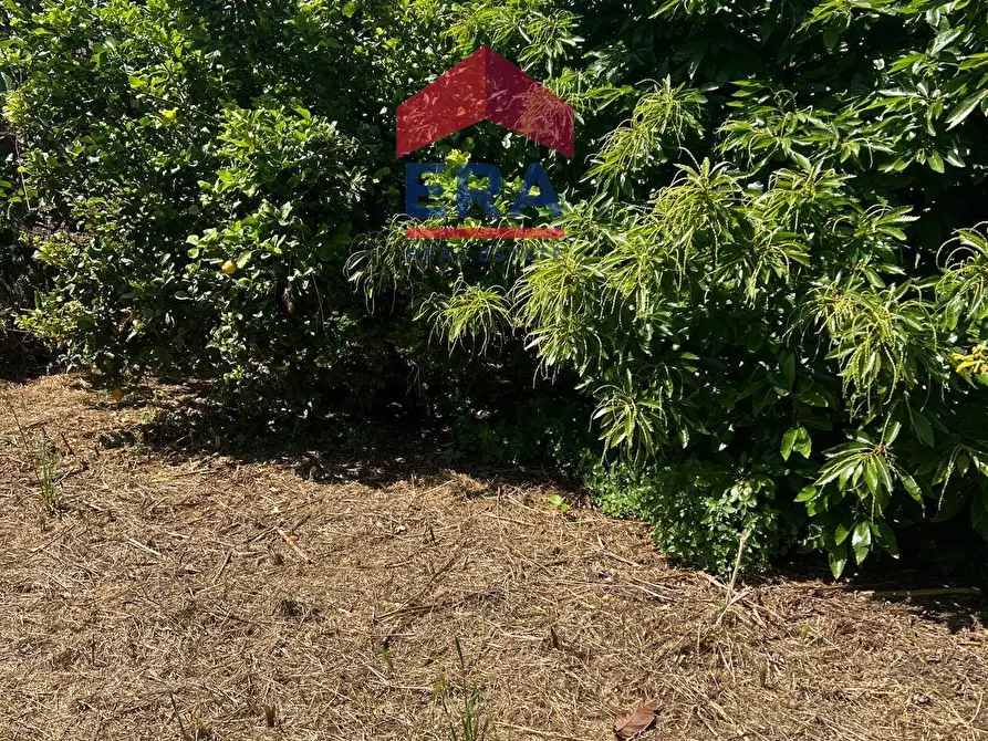 Immagine 2 di Terreno agricolo in vendita  in Via Catira 27 a Catania