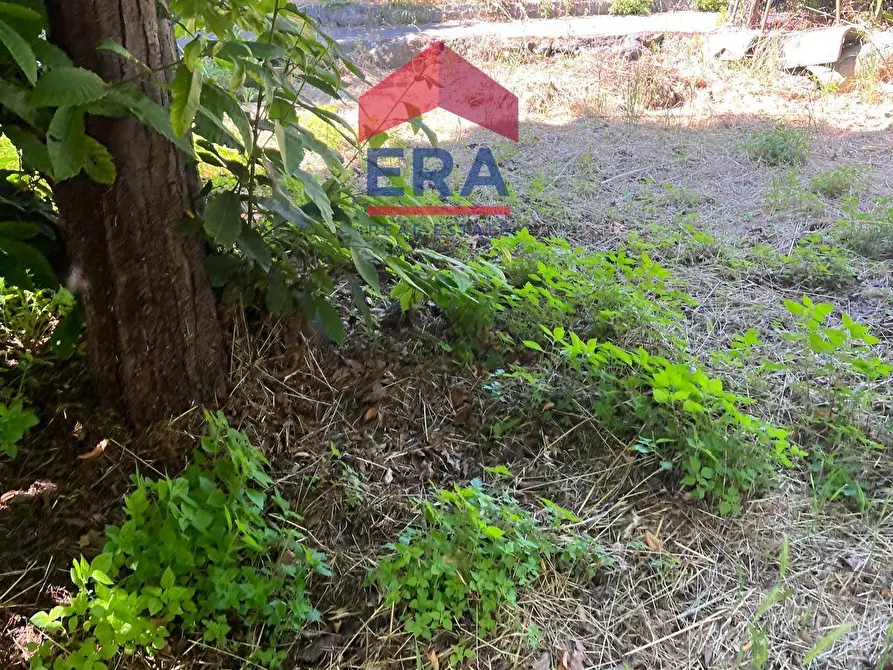 Immagine 3 di Terreno agricolo in vendita  in Via Catira 27 a Catania