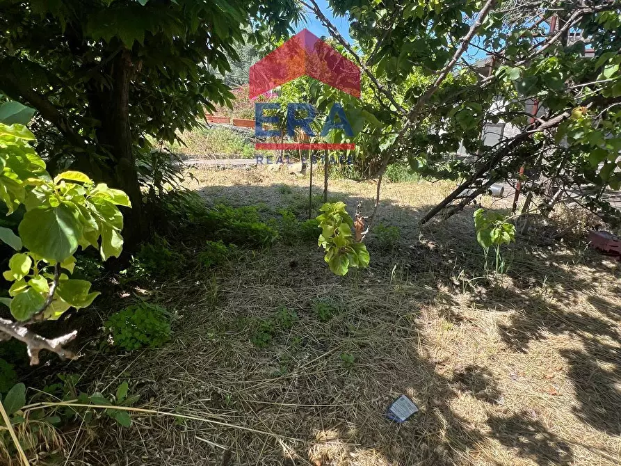 Immagine 4 di Terreno agricolo in vendita  in Via Catira 27 a Catania