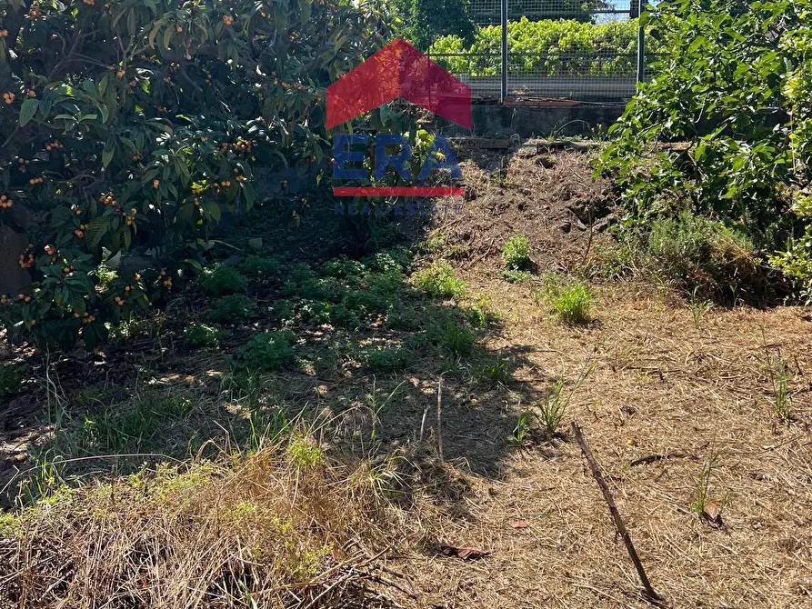 Immagine 5 di Terreno agricolo in vendita  in Via Catira 27 a Catania